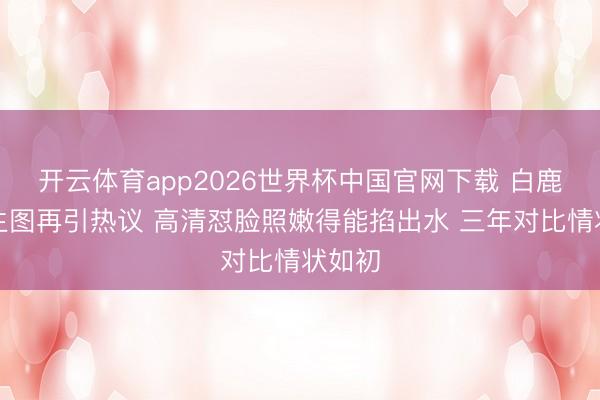 开云体育app2026世界杯中国官网下载 白鹿红毯生图再引热议 高清怼脸照嫩得能掐出水 三年对比情状如初