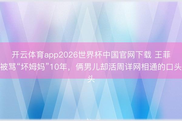 开云体育app2026世界杯中国官网下载 王菲被骂“坏姆妈”10年，俩男儿却活周详网相通的口头