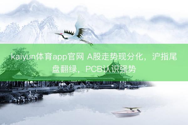kaiyun体育app官网 A股走势现分化，沪指尾盘翻绿，PCB认识强势
